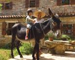 domaćinstava, okrepljujućih jela tradicionalne kuhinje, romantičnih ognjišta i