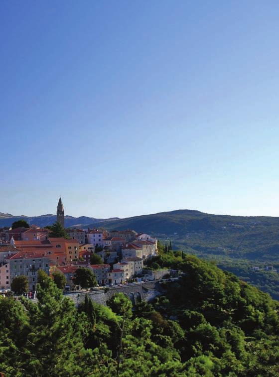 ZELENI MEDITERAN.