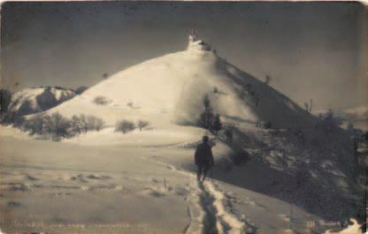 ročno izdelane fotografije na razgledničnem fotografskem papirju. Prva, z ročnim pripisom»sv. Jakob, prvi sneg v novembru 1910«in oznako avtorja»fot. Brinšek B.«, je bila poslana avtorjevi materi.