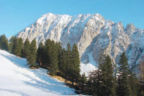Veliki vrh pogled s planine Korošica Jože Šter PLANINSTVO Veliki vrh Nenavadno srečanje pod Kofcami Jana Remic Bilo je pred nekaj leti.