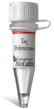 Taq polimeraza Termostabilna DNK polimeraza od 94 kda.
