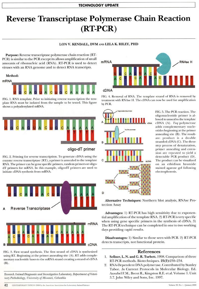 Primena RT-PCR-a Molekularna dijagnostika (za detekciju RNK virusa i za analizu mutacija na nivou irnk kod malignih