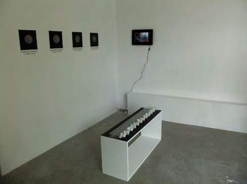 Image 3: safe suicide (part I) as part of the Non human time exhibition (PL: Czas nieludzki), The Contemporary Art Gallery, Opole, 2016.