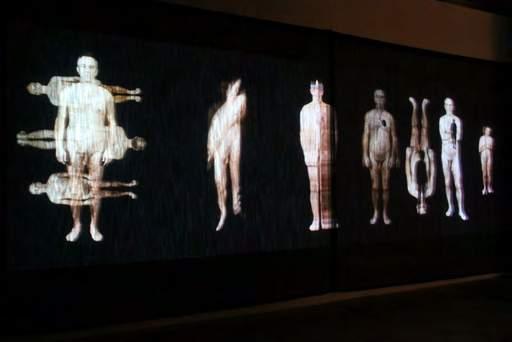 A Change of Heart A High Definition video work projected onto a black voile screen six metres by two metres suspended 8 or so cm or from a large white wall in the YYZ space and repeats seamlessly