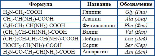 80-ге жуық амин қышқылдарының iшiнде тамақтану ғылымында организмде түзiле алатын алмастырылатын амин қышқылдарының саны-12, адам бойында түзiлмейтiн