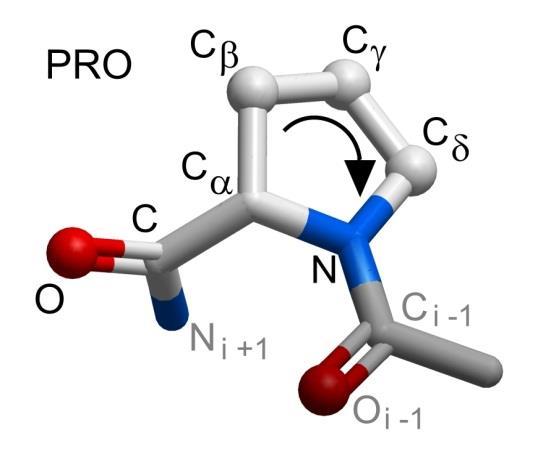 CO 1 -HN 5, CO 2 -HN 6, itd Radikali molijo