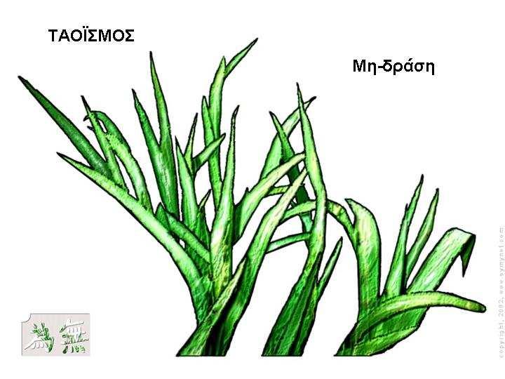 δράση", αλλά δε σηµαίνει τη συνολική αδράνεια. Μάλλον είναι δράση που αναλαµβάνεται σε δύο αρχές: καµία προσπάθεια δεν πρόκειται να σπαταληθεί, και τίποτα δεν πρέπει να γίνει ενάντια στη φύση.