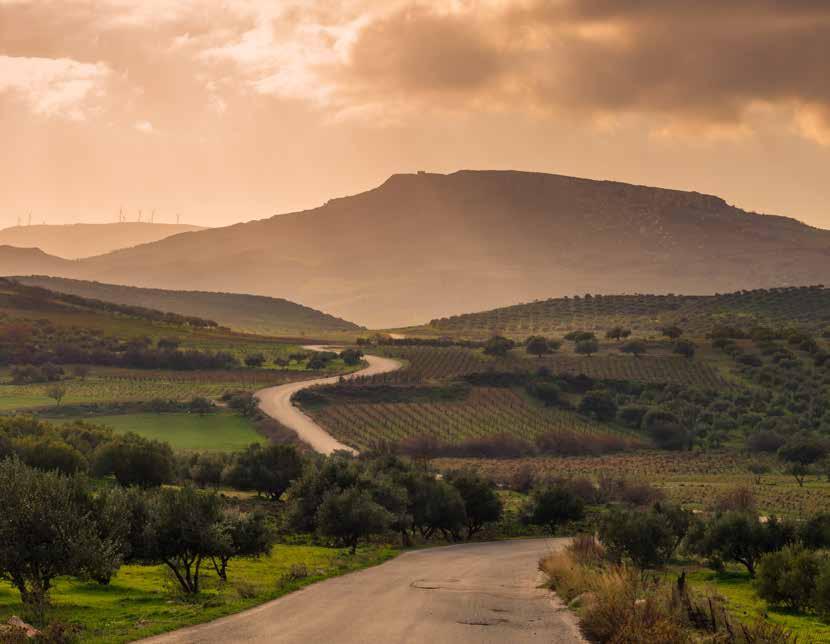 Εισαγωγή Η Κρήτη, η γενέτειρα της «Μεσογειακής διατροφής», διαθέτει εξαιρετικής ποιότητας τοπικά προϊόντα, όπως τα τυροκομικά, το ελαιόλαδο, το μέλι, το κρασί, τα ενδημικά φυτά και τα άγρια χόρτα.