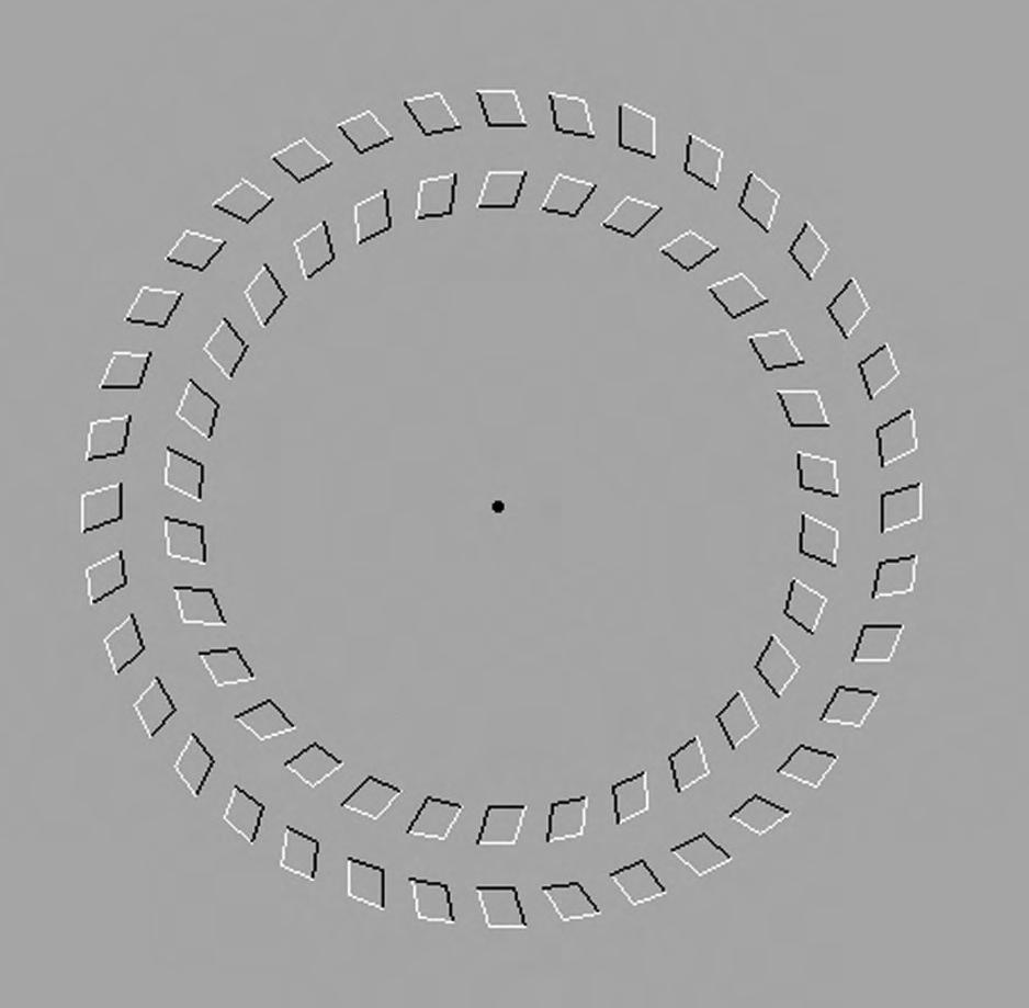 BIBLIO ERGASION_Layout