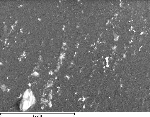 Figura 5.