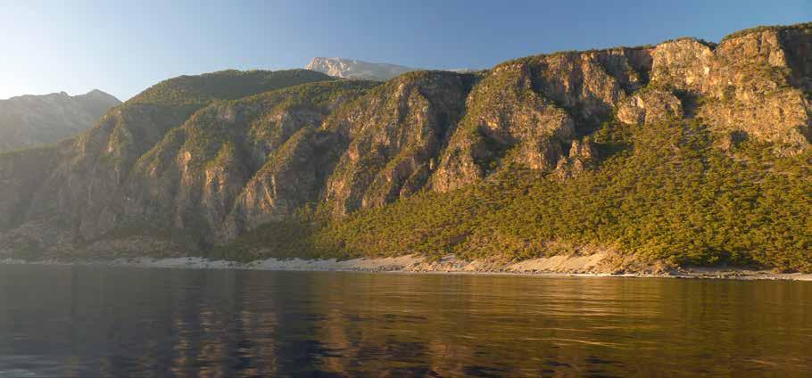 Χαράδρα Βίκου & Γκαμήλα 2.497μ. ή Αστράκα 2.432μ.