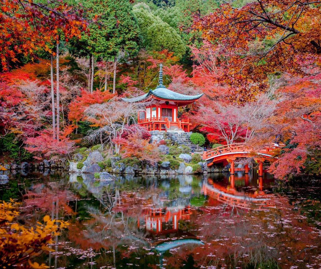 δέντρο Το φθινόπωρο της Ιαπωνίας Τόκιο, Νίκκο,