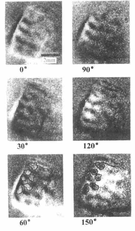 357 ( 90 ) ( ) 019 mm 3 4 (lateral cro ss2o rien tation inh ib ition) 6 5 ( ) F ig 3 T he co rtical areas (dark stripes o r areas) visually activated by six grating stim uli of different o
