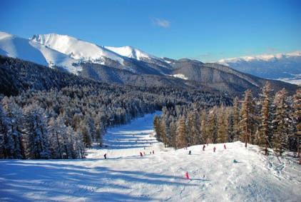 22,23/12 4 ΜΕΡΕΣ 5 ΜΕΡΕΣ PERUN LODGE 4* H/B 140 170 GRAND ROYALE SPA 4* B/B 130 160 GUINNESS 4*H/B 180 220 SPORT HOTEL (ski in-ski out) 4*H/B 210 265 PERUN & PLATINUM CASINO 4* H/B 215 270