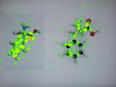 2.3.3 Heat map po nalogi 2.3.4. Ali se število fiksacij na fizični model in prikaz modela razlikuje? Descriptive Statistics (fenilalanin) N Minimum Maximum Mean Std.