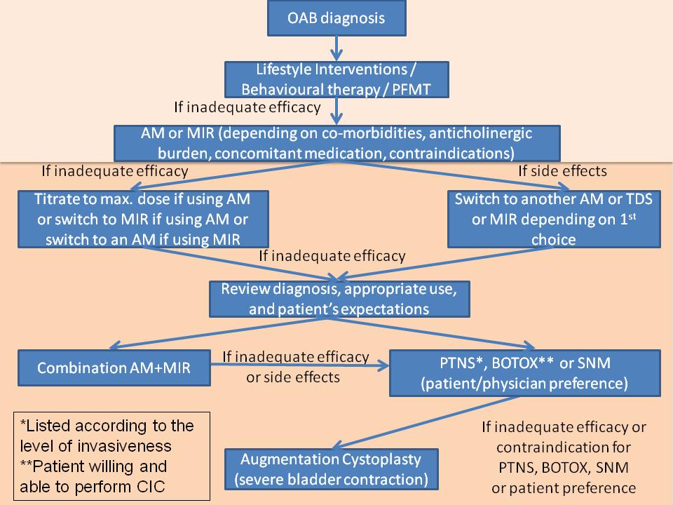 Neurourology and
