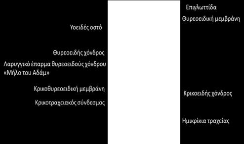 Μια πρακτική, κλινική ταξινόμηση των τεχνικών κρικοθυρεοτομής τις κατατάσσει σε τρεις κατηγορίες.