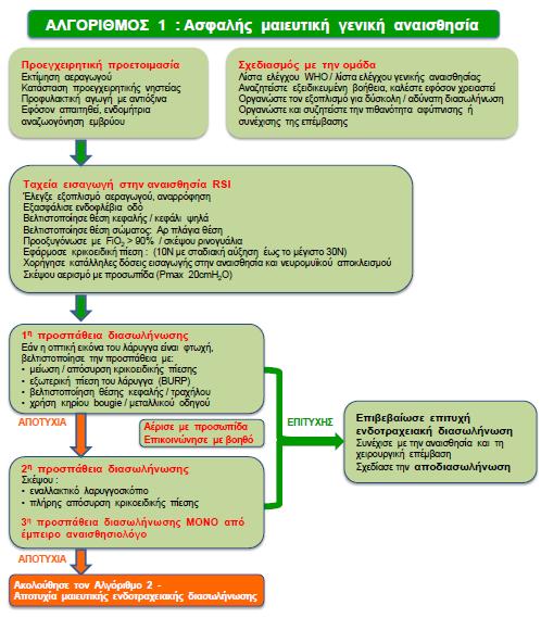 Ο Αλγόριθμος 1 παρέχει ένα πλαίσιο ενεργειών για να βελτιστοποιήσουμε μία ασφαλή τεχνική γενικής αναισθησίας στην επίτοκο, και δίνει έμφαση στο σχεδιασμό, στη διεπιστημονική επικοινωνία, στη πρόληψη