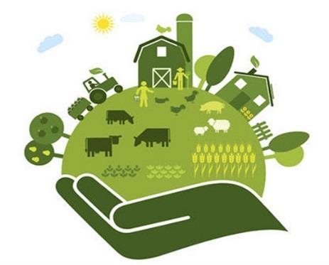 Αγροοικολογία: Μετάβαση προς