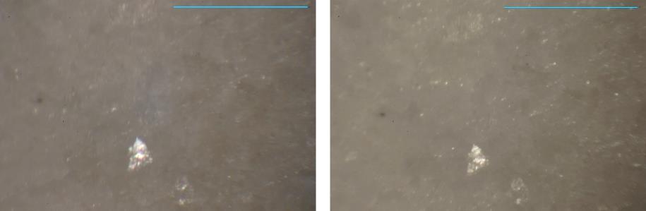 Εικόνες 69-70: Untreated - Τreated