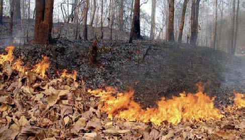16 ných porastov pomocou termovízie a následným prenosom informácií do geografického informačného systému podpory riadenia na stanovište riadiaceho štábu.