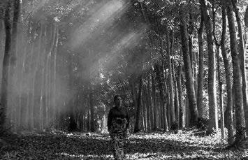John Philip Matalam Παραγωγός/Producer: Gutierrez Mangansakan II Παραγωγή/Pro - duction: Bidadali House Production, Philippines 35mm Έγχρωµο/Color 83 Ηθοποιοί/Cast: Jea Lyka Cinco (Ayesah), Tetchie