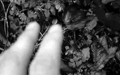 Negative Transit [Αρνητικό τράνζιτο] Σκηνοθεσία/Direction: Cedric Gaul-Berrard 16mm Έγχρωµο/Color 12 Γαλλία / France 2010 Ο Σεντρίκ Γκολ-Μπεράρ είναι Γάλλος συγγραφέας και σκηνοθέτης.