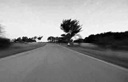 GT Granturismo Σκηνοθεσία/Direction: Günther & Loredana Selichar Video Έγχρωµο/Color 5 Αυστρία / Austria 2001 Το Granturismo είναι ένα θέατρο εντόµων, µια αλληγορία για τον κόσµο των ζώων, µια µαύρη
