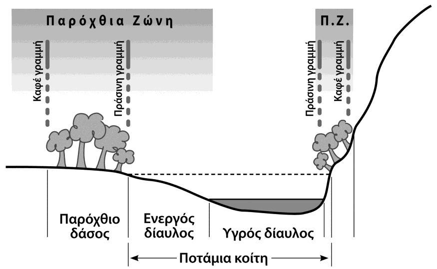 5.7.2 Μεθοδολογία Προσδιορίζοντας των σχηματισμό της παρόχθιας ζώνης: "ζώνη παρόχθιου δάσους" Η βλάστηση είναι βασικό στοιχείο της δομής της παρόχθιας ζώνης.