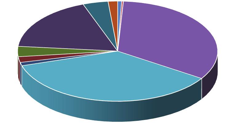 95,61% zmetanie 0,66% ET 0,39% Hereford 0,02% Pinzgauské 3,05% Simentál mäsový 2,18% Percentuálny podiel živo narodených býčkov podľa plemien Ostatné plemená 3,75% Slovenské strakaté 17,58% Neznáme