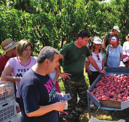 Για το λόγο αυτό, σύµφωνα µε τον πρόεδρο του ΕΛΓΑ Φάνη Κουρµπέ, ο οργανισµός απέστειλε στη διαχειριστική επιτροπή του υπουργείου, τροποποίηση της αρχικής πρόσκλησης του µέτρου 5.1.