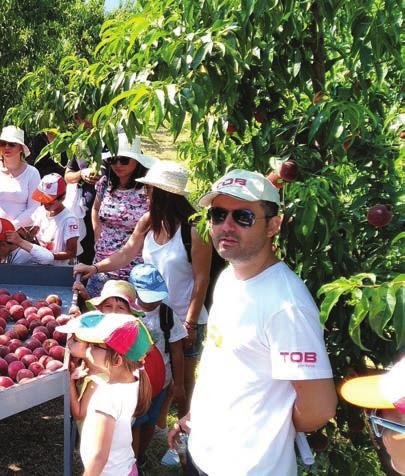 Σεπτεµβρίου λήγει πλέον η προθεσµία υποβολής του φυσικού φακέλου στις ΑΟΚ επιβεβαιώνοντας τον ΣΕΑΜ, που έκανε λόγο για «παρατάσεις µέχρι το Φθινόπωρο».