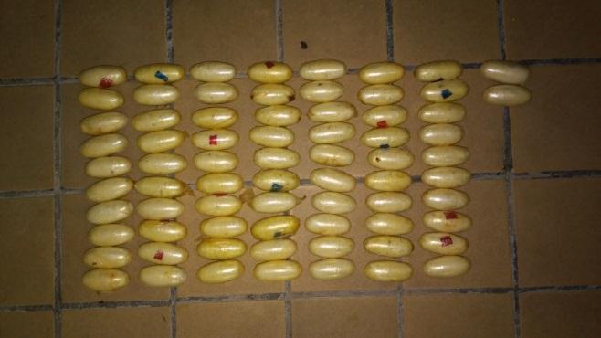 7. Medzinárodná spolupráca Národná protidrogová jednotka NAKA P PZ aktívne spolupracovala hlavne s partnermi z Českej republiky a Maďarska.