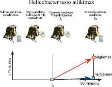 nepasiekiamoje vietoje. 7. KITAS SPECIALUS ĮSPĖJIMAS (JEI REIKIA) 8. TINKAMUMO LAIKAS Tinka iki {MMMM/mm} [metai, mėnuo] 9.