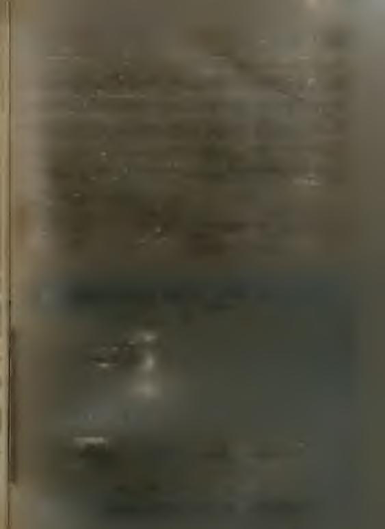 τήν πηγή τού Βίου πού υπόδειξε ό ΡοπίΕηΐ καί σχολίασε ό Σεφέρης10.