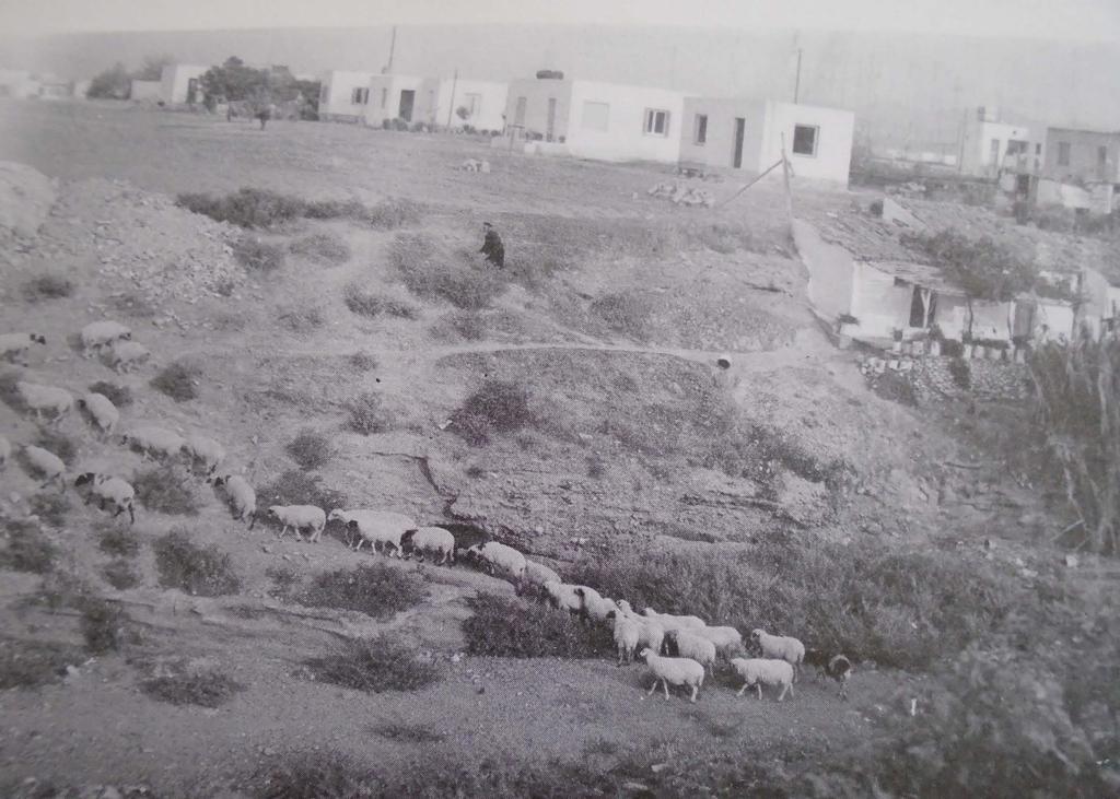 Η Κοψαχείλα