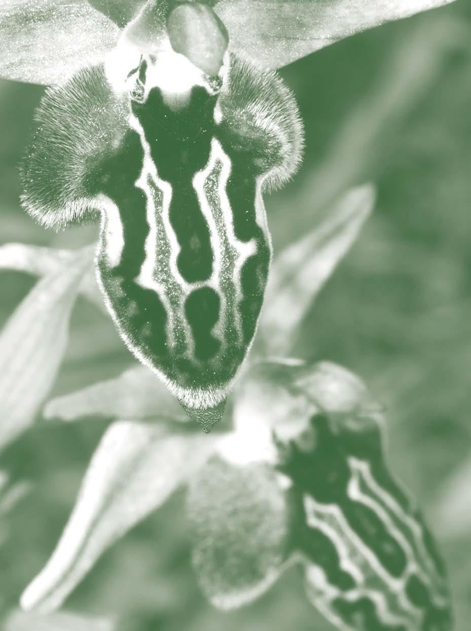 5 Φύση -
