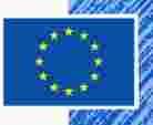 Το έμβλημα έχει τη μορφή μπλε ορθογώνιας σημαίας με βάση μιάμιση φορά μεγαλύτερη από το ύψος της.