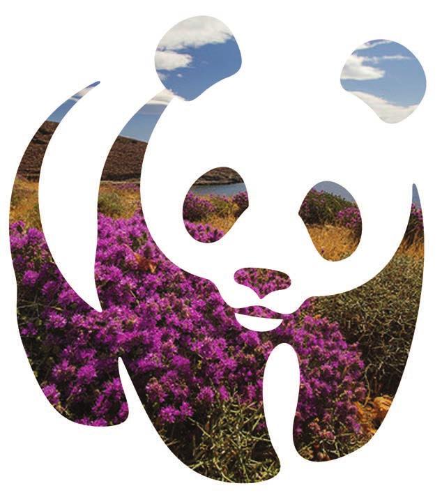 >100 >300 360 ο Η οικονομική διαχείριση του WWF Ελλάς ελέγχεται από ορκωτούς λογιστές σε ετήσια βάση από το 1995.
