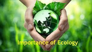 Οικολογία H οικογένεια της ΚΑΜΑΡΙΔΗ GLOBAL WIRE στηρίζει την ΩΡΑ ΣΗ ΓΗ, συμμετέχοντας κάθε χρόνο στην προώθηση της παγκόσμιας πρωτοβουλίας της περιβαλλοντικής οργάνωσης ενάντια στην κλιματική αλλαγή.
