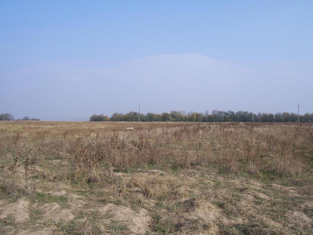 Aspect privind flora pe suprafeţe de teren agricol