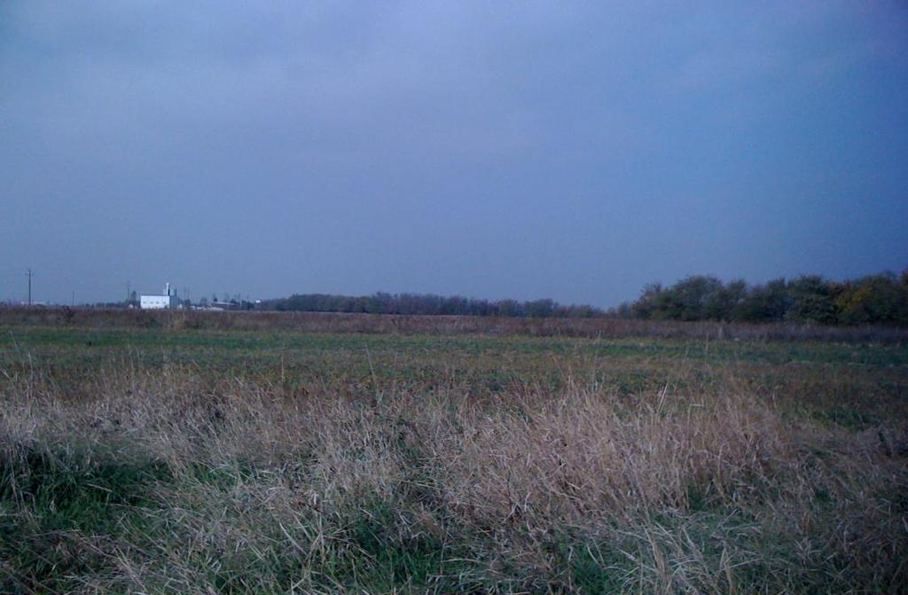necultivat, vedere directia est- vest Proiectant: