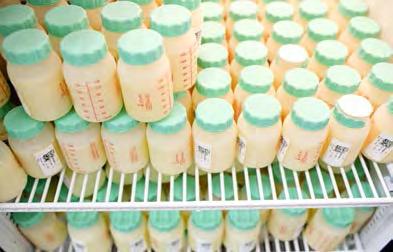 5.1 Τράπεζα Μητρικού Γάλακτος Ο μητρικός θηλασμός είναι η καλύτερη διατροφή για τα βρέφη, διότι το ανθρώπινο γάλα είναι το καταλληλότερο, όπως αναφέρθηκε προγενέστερα.