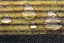 Rockwool akmens vatos plokštės yra gaminamos iš natūralių gamtinių žaliavų, todėl apšiltintas pastatas įgauna naujas savybes.
