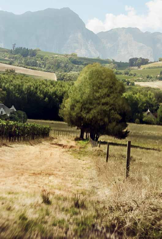 Σύστημα τετρακίνησης 4MOTION. Το σύστημα τετρακίνησης 4MOTION συνδυάζεται πλέον με τα πιο προηγμένα κιβώτια ταχυτήτων.