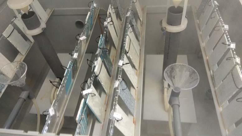 Σχήμα 14 Διάταξη δοκιμίων στον θάλαμο αλατονέφωσης