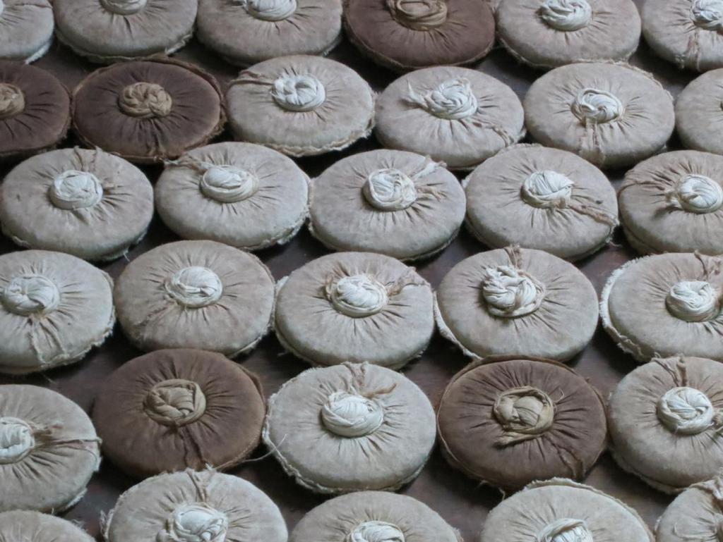 fermentácia pomocou MO