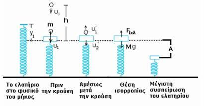 ΘΕΜΑ Δ Πρόβλημα. Στο πάνω άκρο κατακόρυφου ιδανικού ελατηρίου σταθεράς N k 400 είναι στερεωμένος δίσκος Α μάζας M 4Kg.