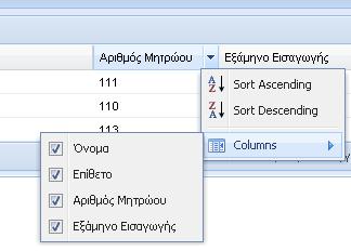 30 στήλη όνομα o Εμφανίζεται το μενού της εικόνα 5.31 Εικόνα 5.31 μενού στήλης o Επιλέγουμε την εντολή Columns(Εικόνα 5.32).