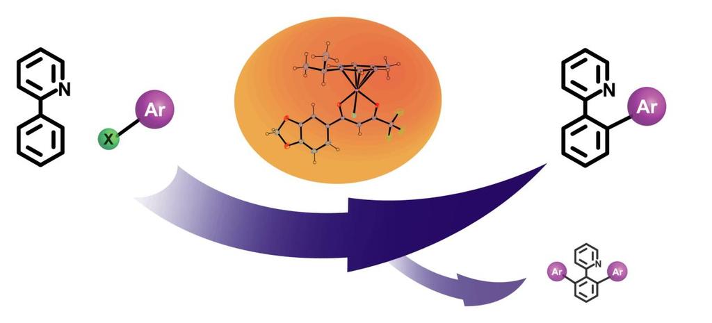 S. Seršen, B. Štefane I. Turel, et al, Organometallics, 32, 609 616 (2013).